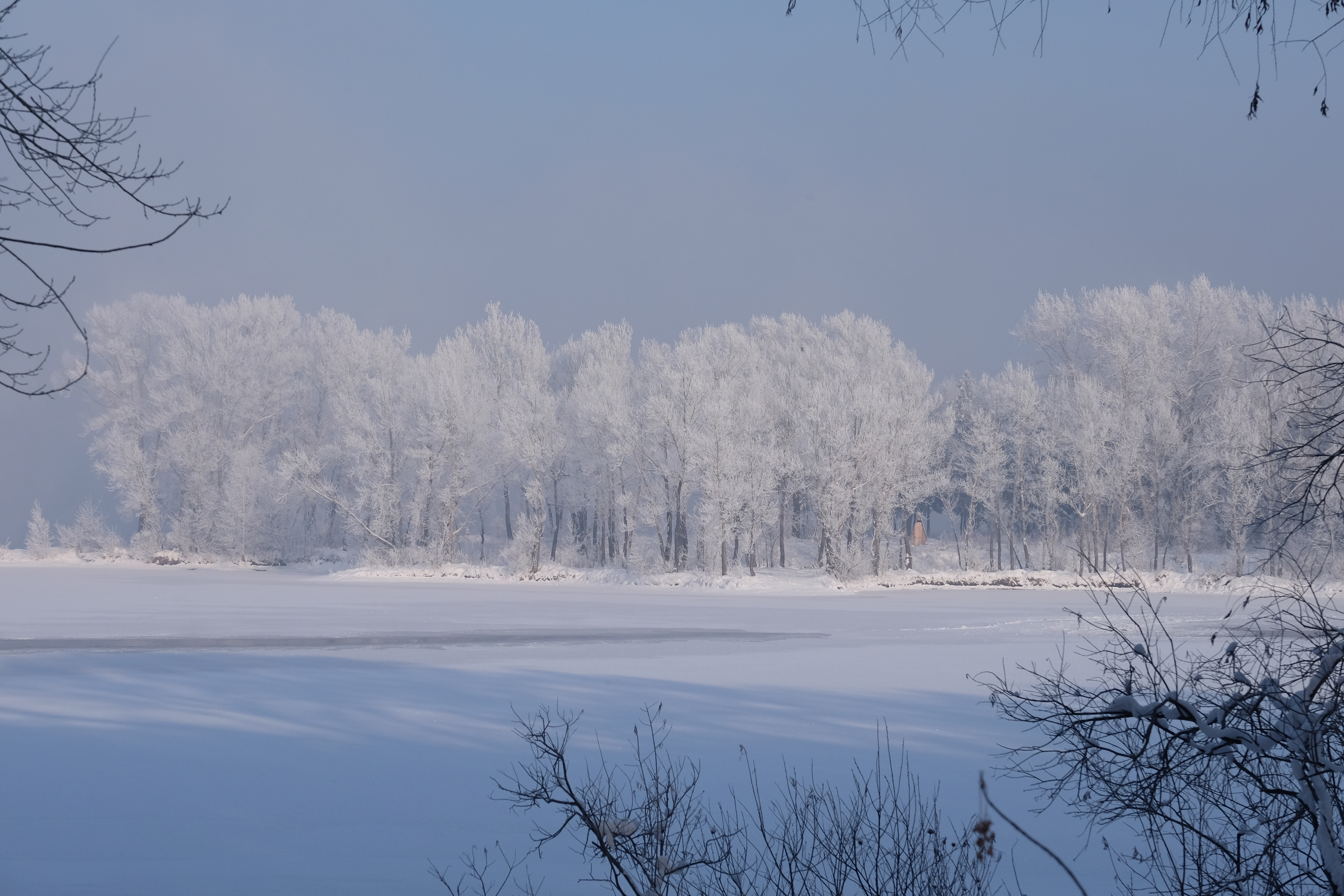 2016-01-05 Парк на левом берегу 103.JPG