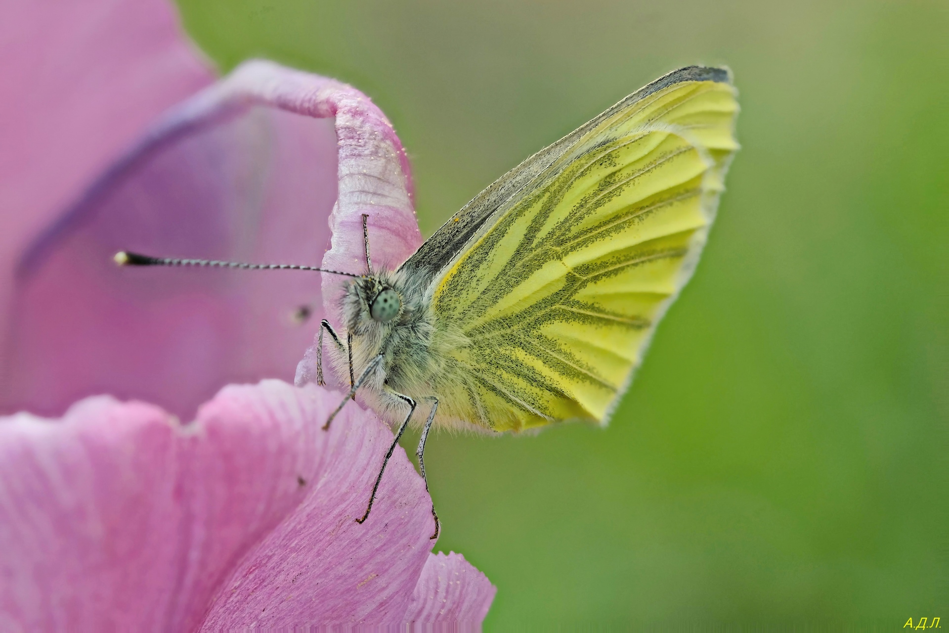 2023-05-14-10.48.34 ZS PMax_test_edit (Копировать).jpg