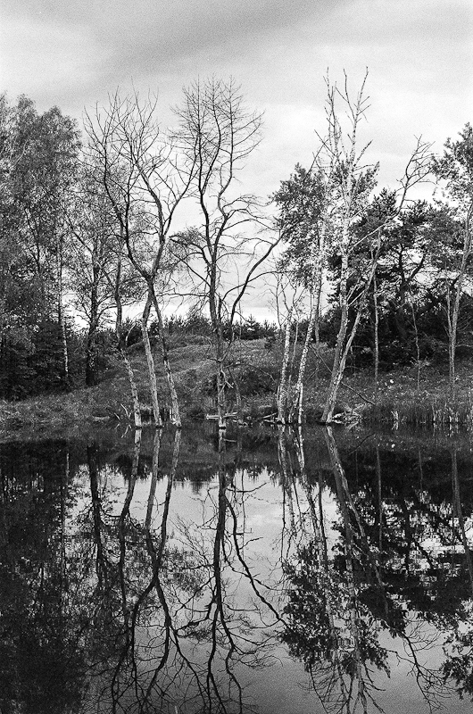 Что такое аналоговая фотография