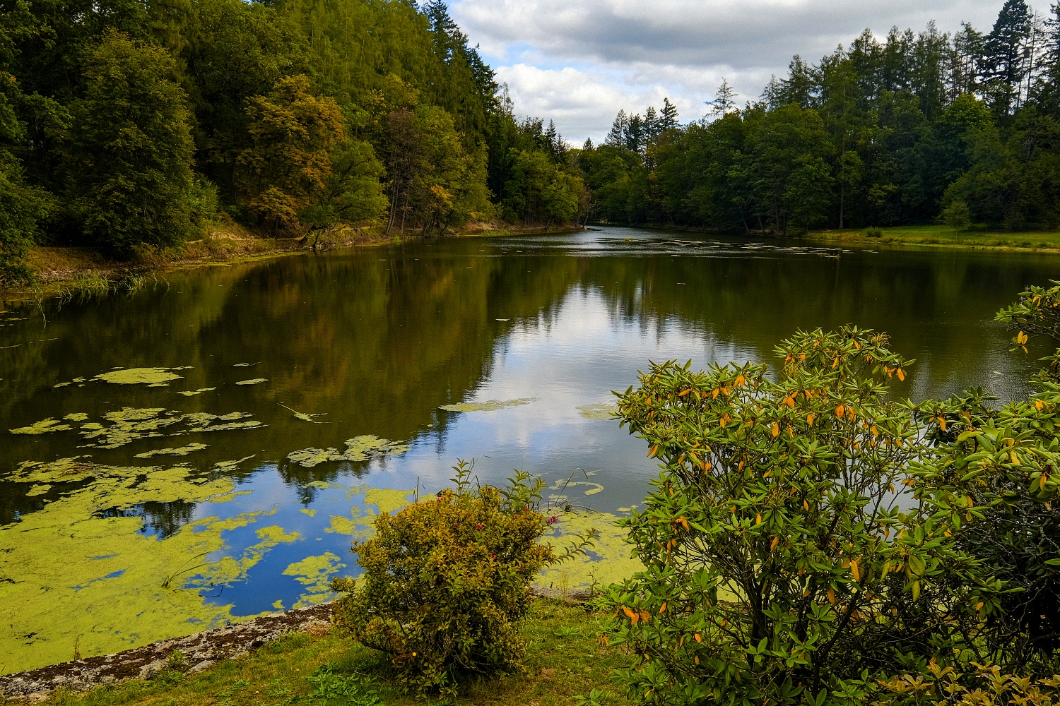 Старый пруд. Старый прудик. Старый пруд фото. Водная гладь фото.