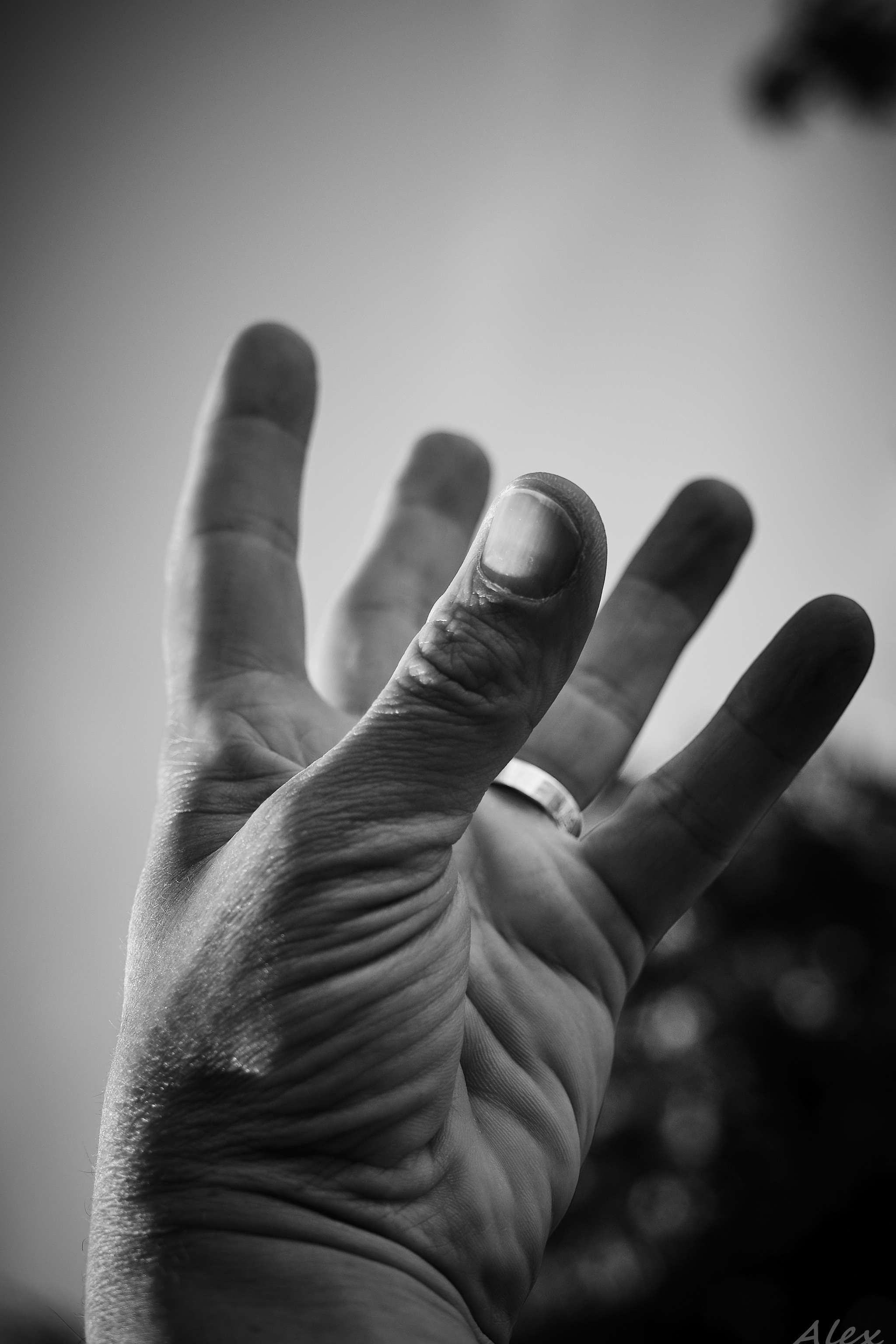 Hands 016.jpg