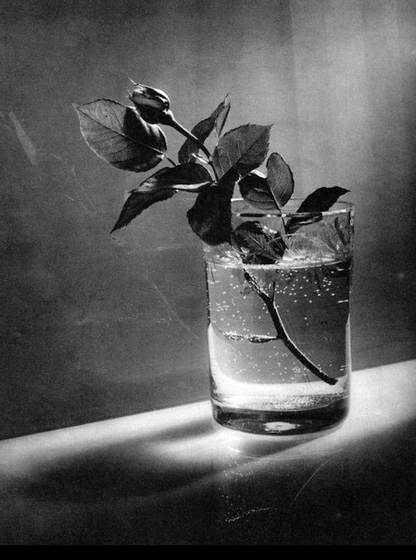 josef_sudek_40.jpg