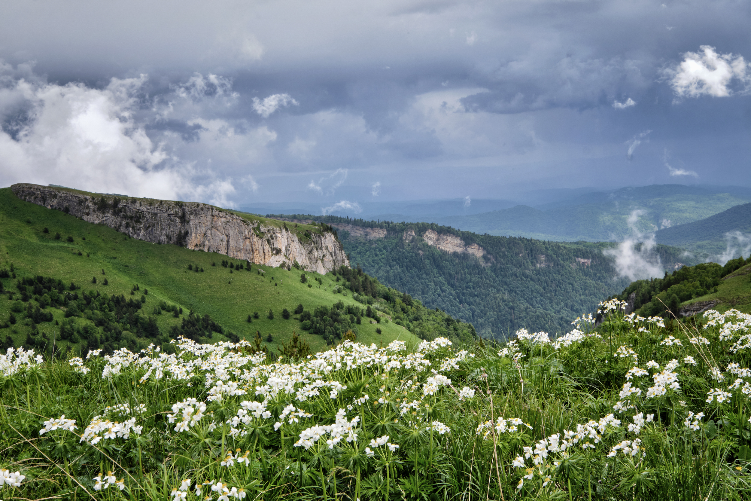 Альпийские Луга на Кавказе по тридцатому маршруту