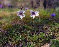 DSCF0171.jpg