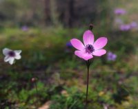 DSCF0174.jpg