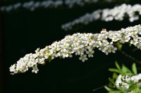 DSC_5820_edited.jpg