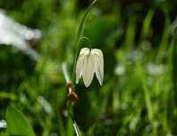DSC_5835_edited.jpg
