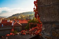 prague castle in autumn-2.jpg