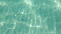 DSCF0188.JPG
