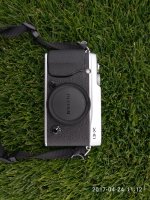 P70424-111229[1].jpg