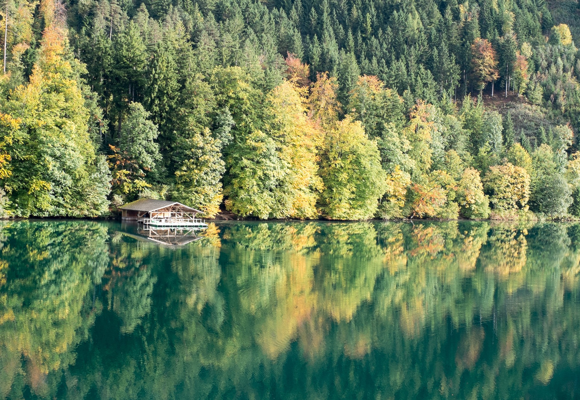 Lake alpsee reflection