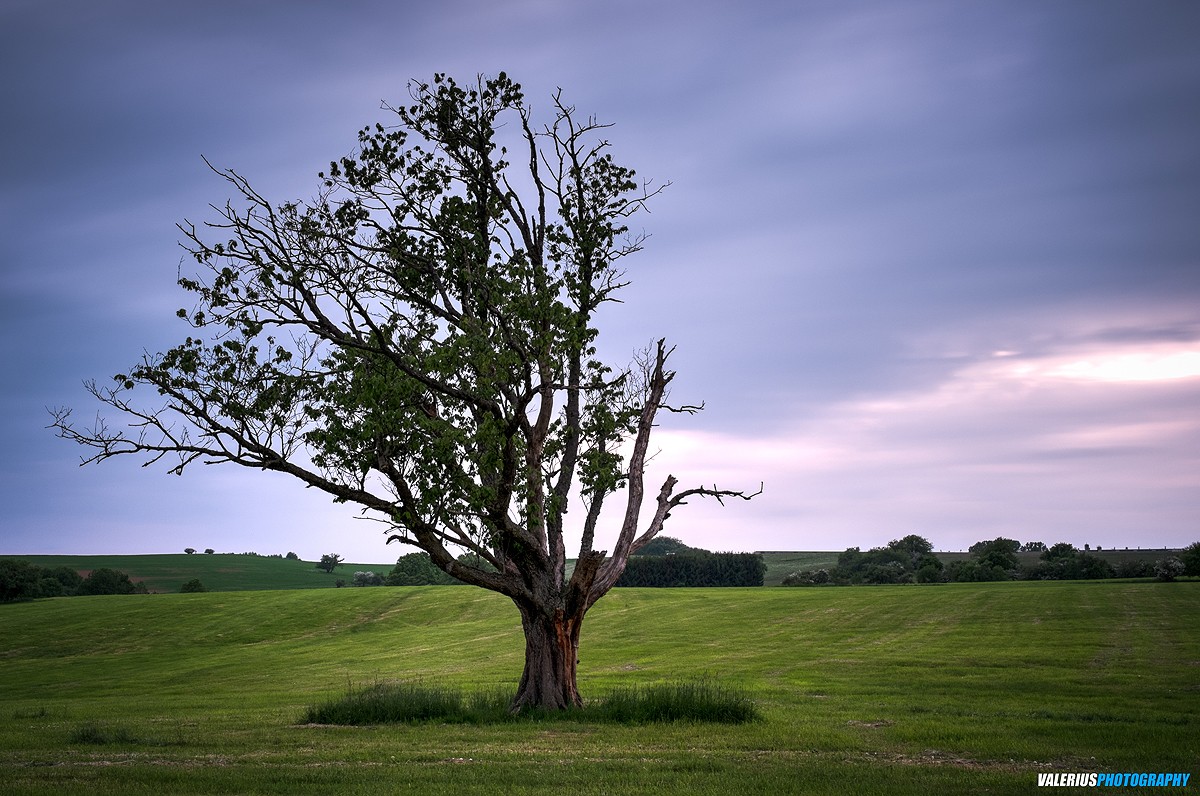 Landscape in germany