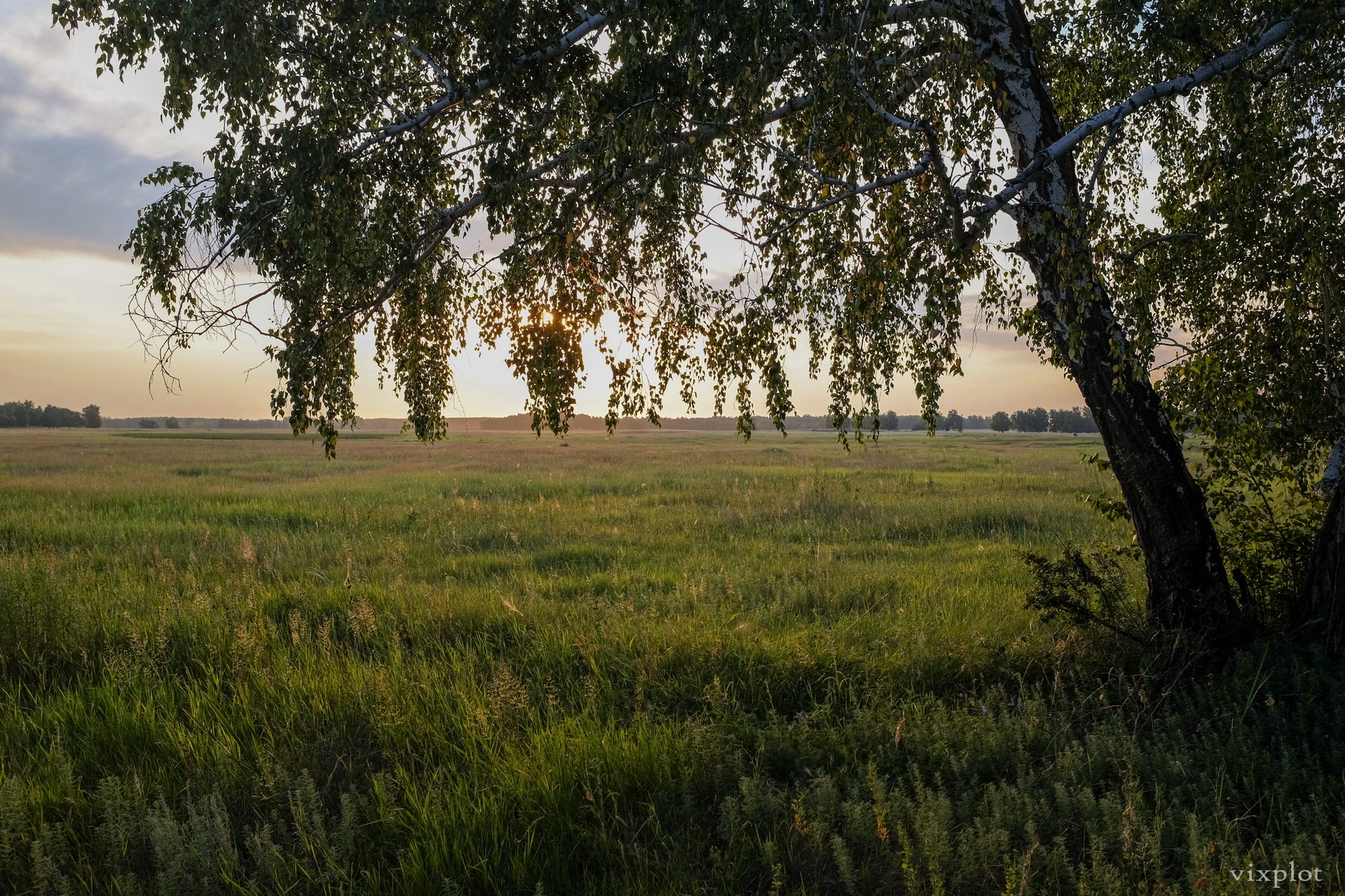 Закатное поле (2)