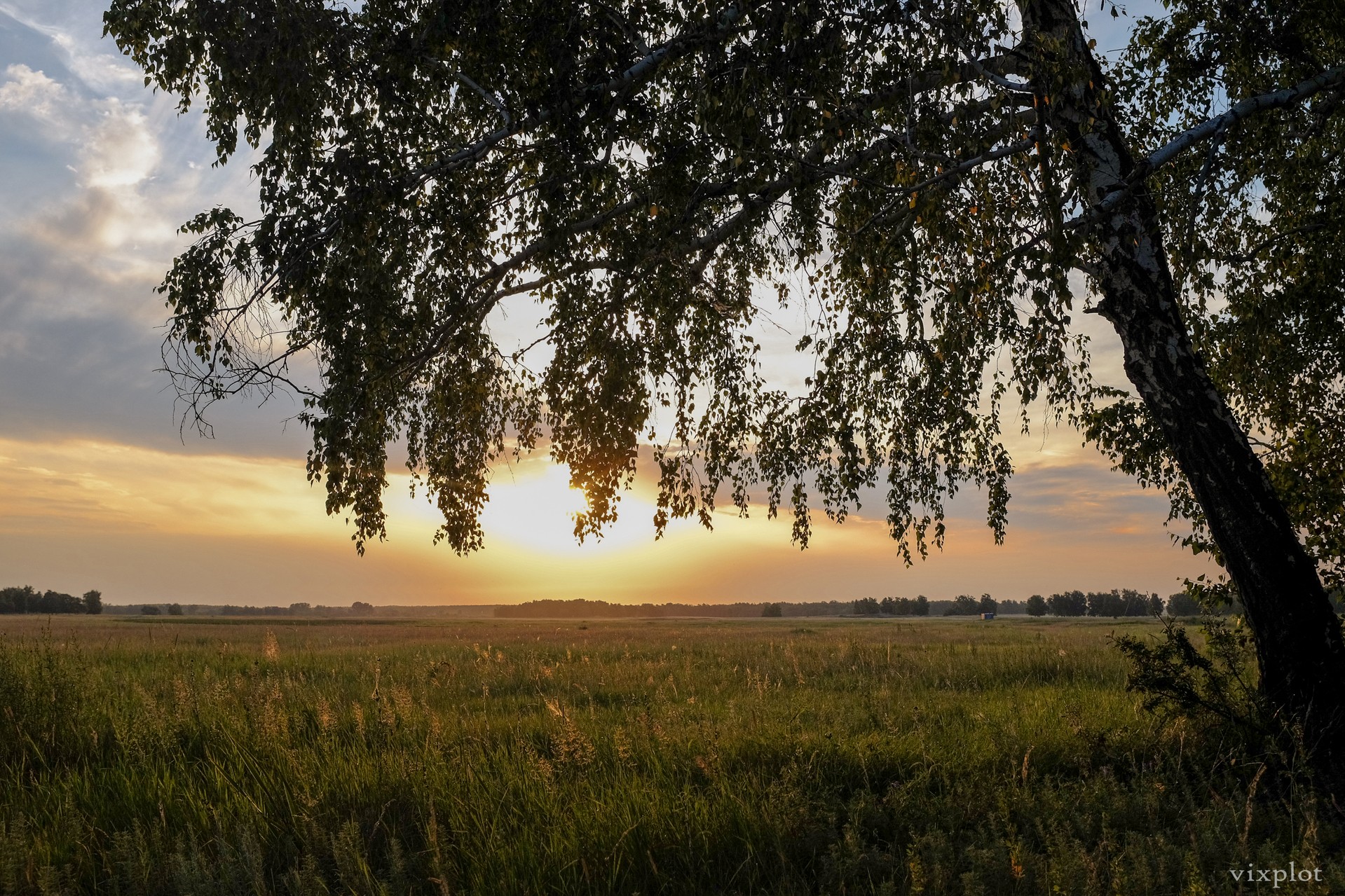 Закатное поле (1)