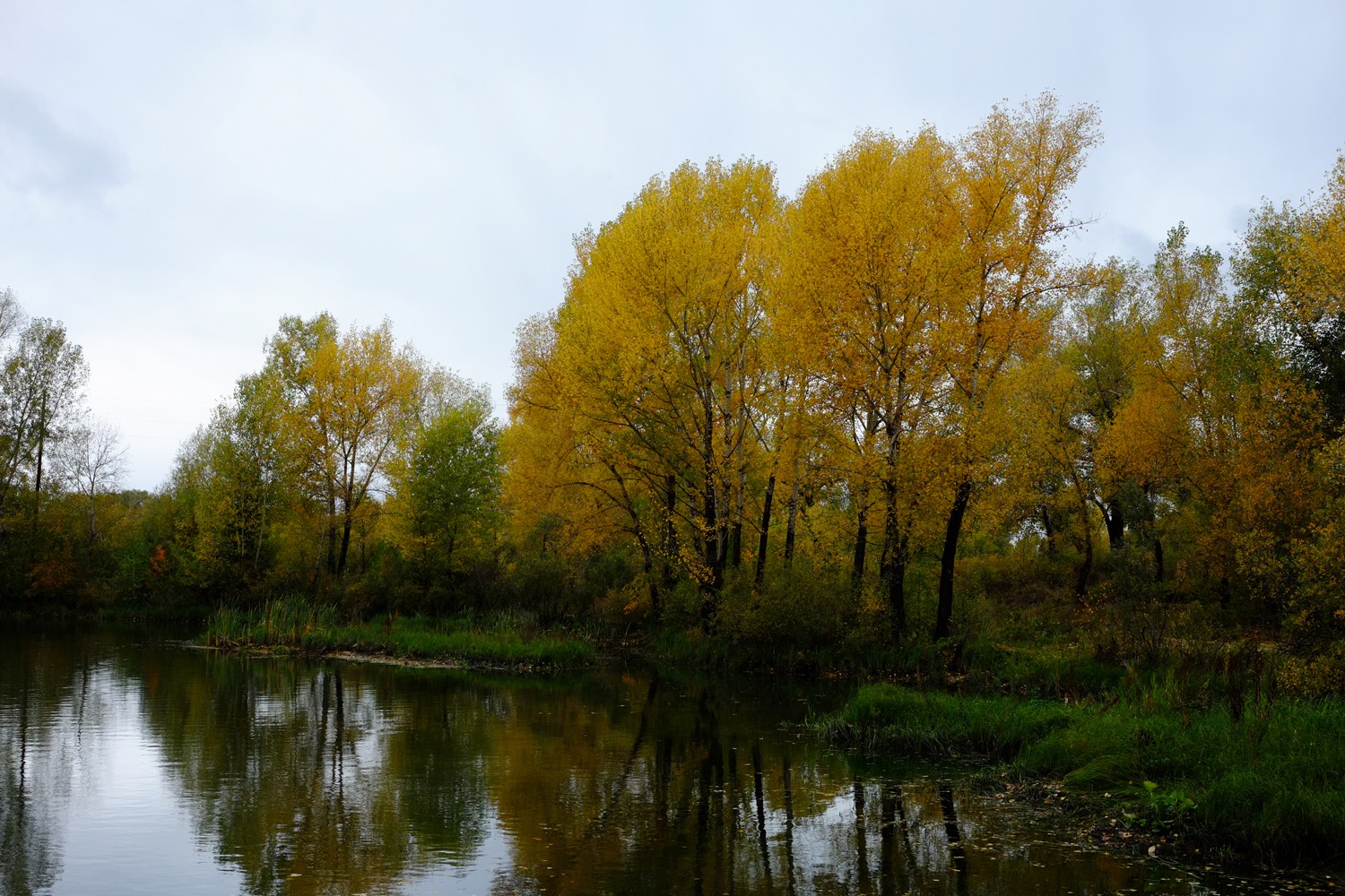 Хмурь, мерзопакостно, утренняя прогулка по городу - протока Иртыша...