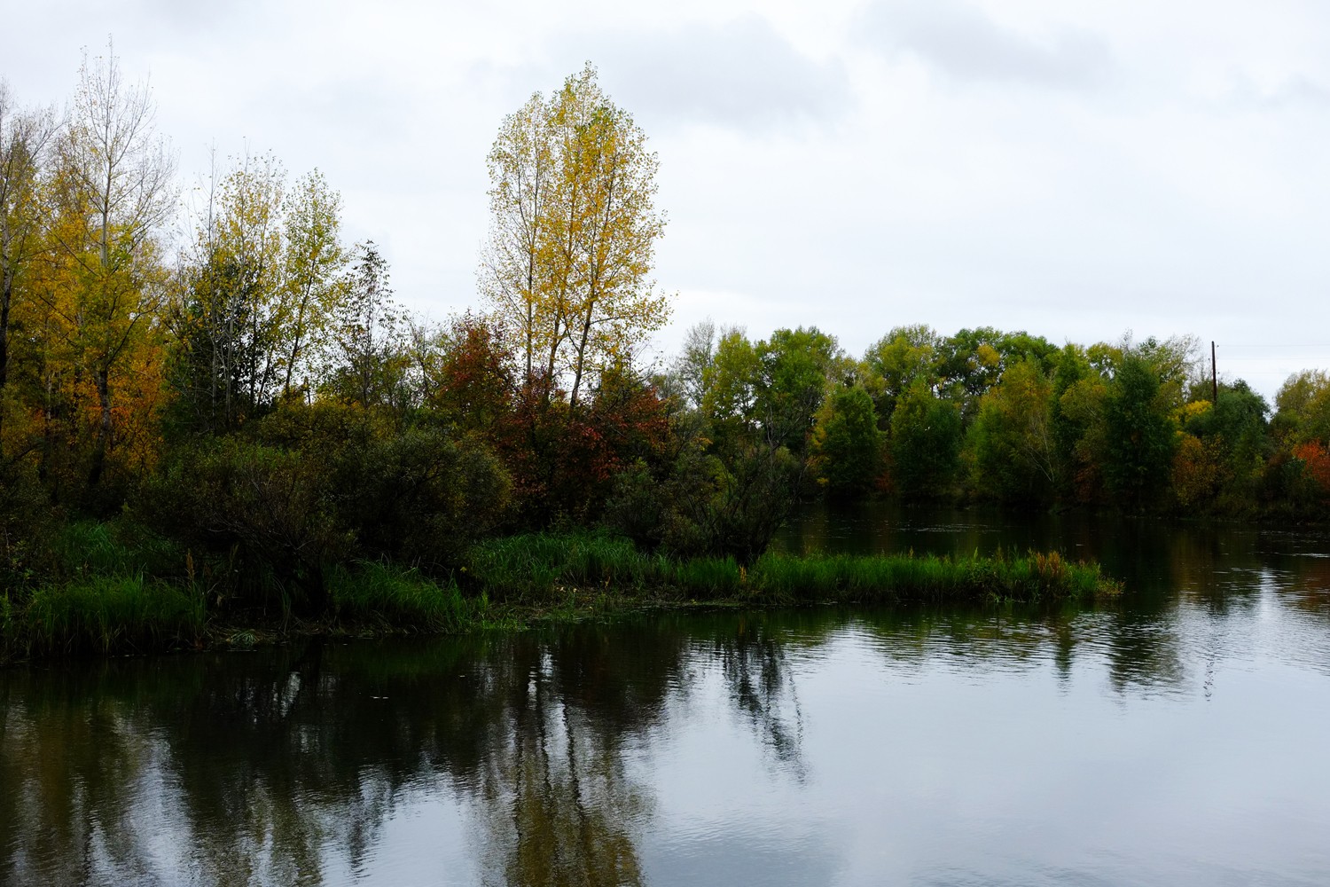 Хмурь, мерзопакостно, утренняя прогулка по городу - протока Иртыша...