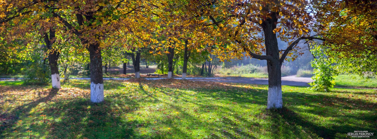 панорама