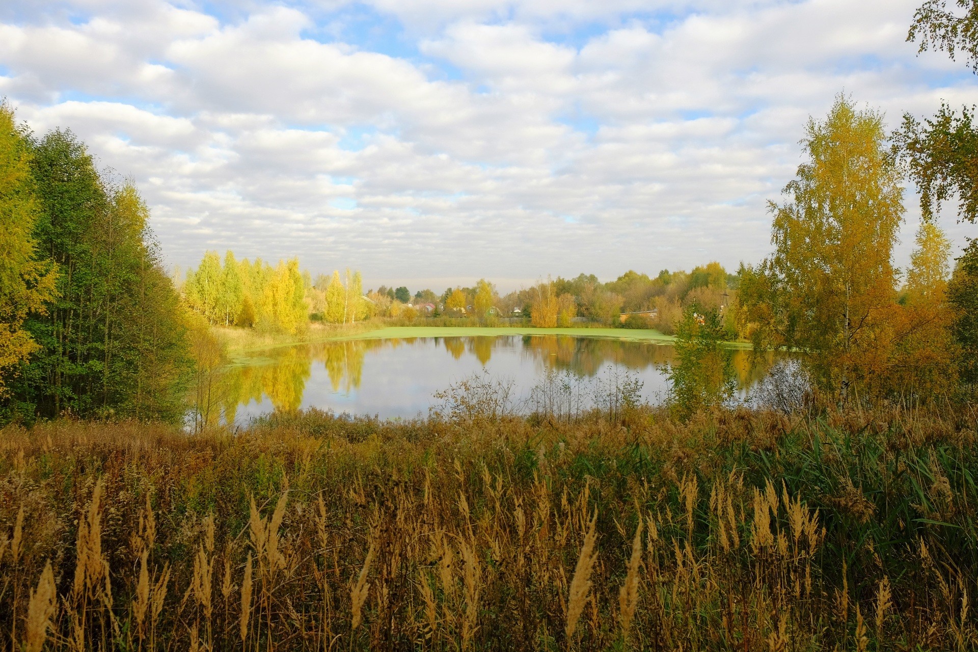 Краски осени на пруду