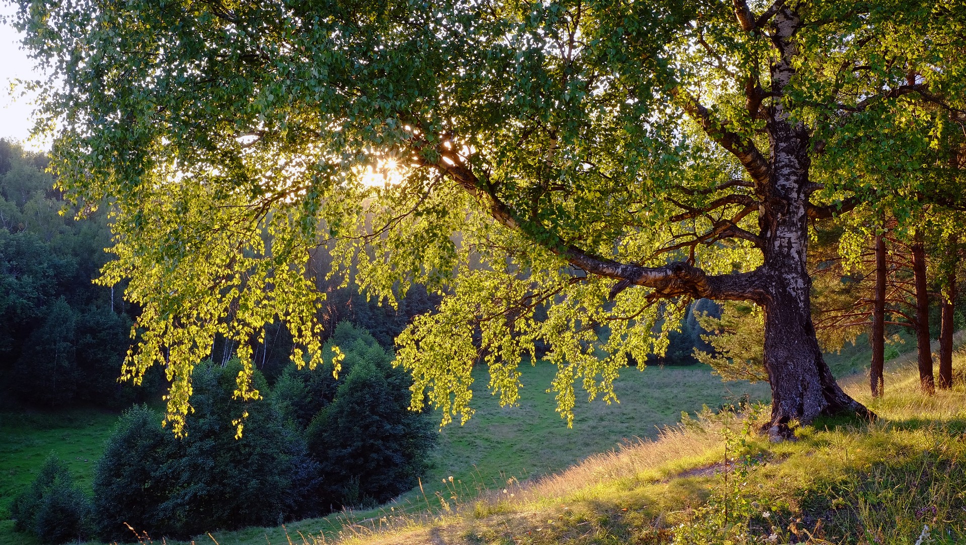 Осенние предзакатные