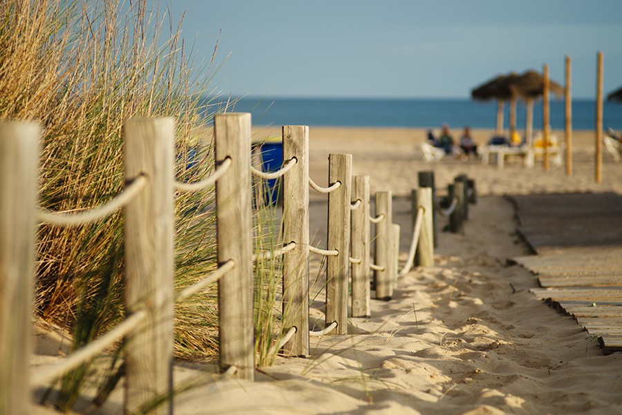 On the beach