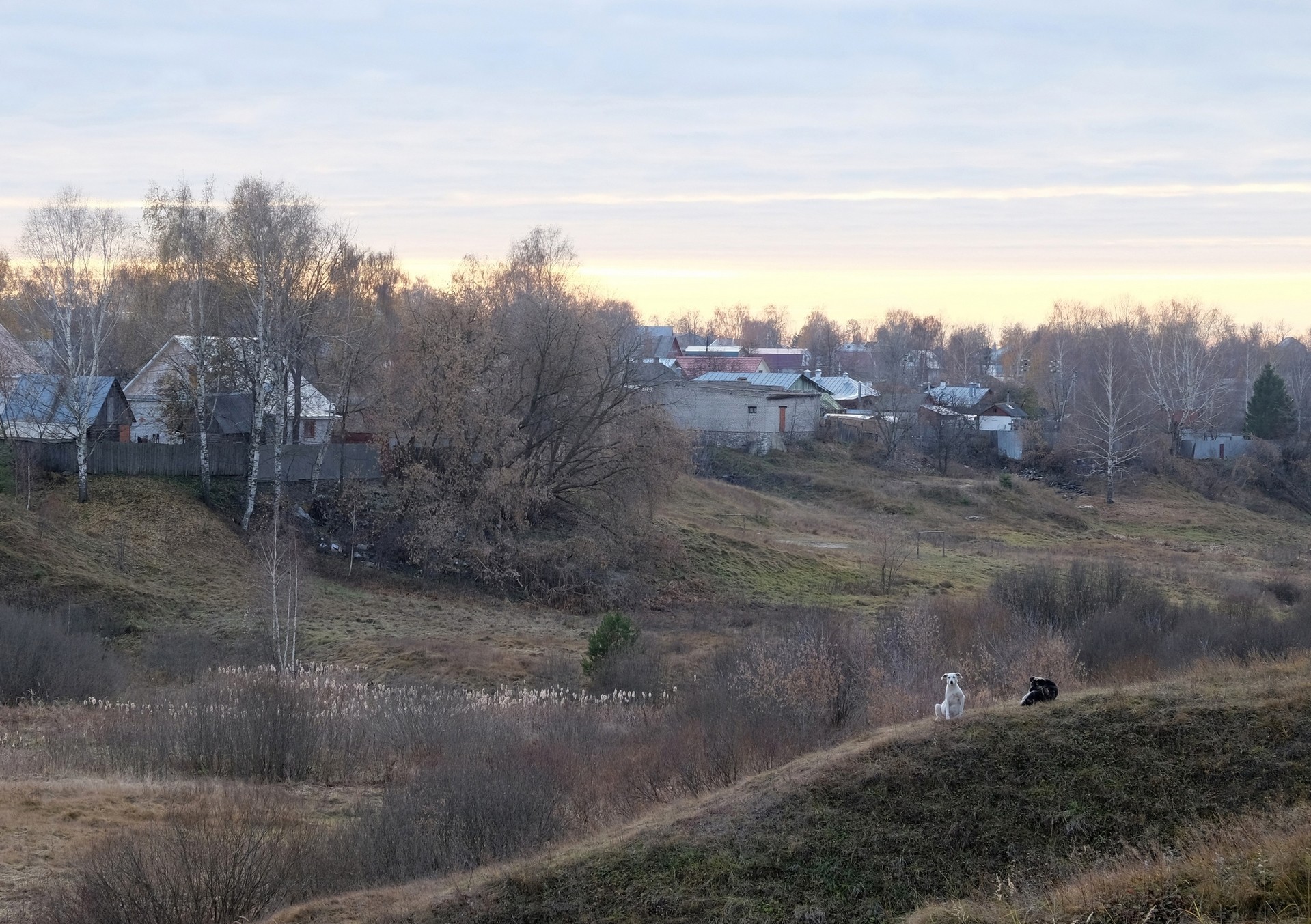 Совсем не золотая осень