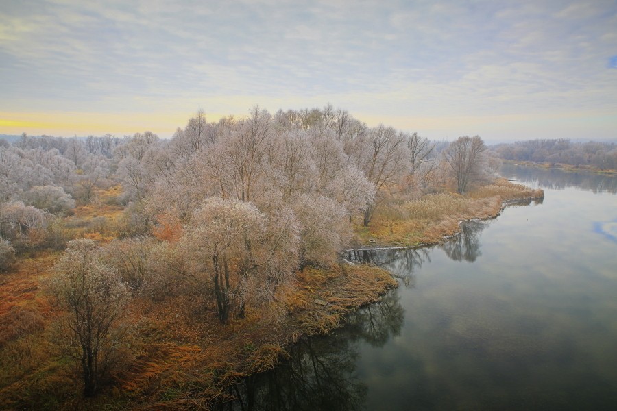 Этюд 8. Заморозки.