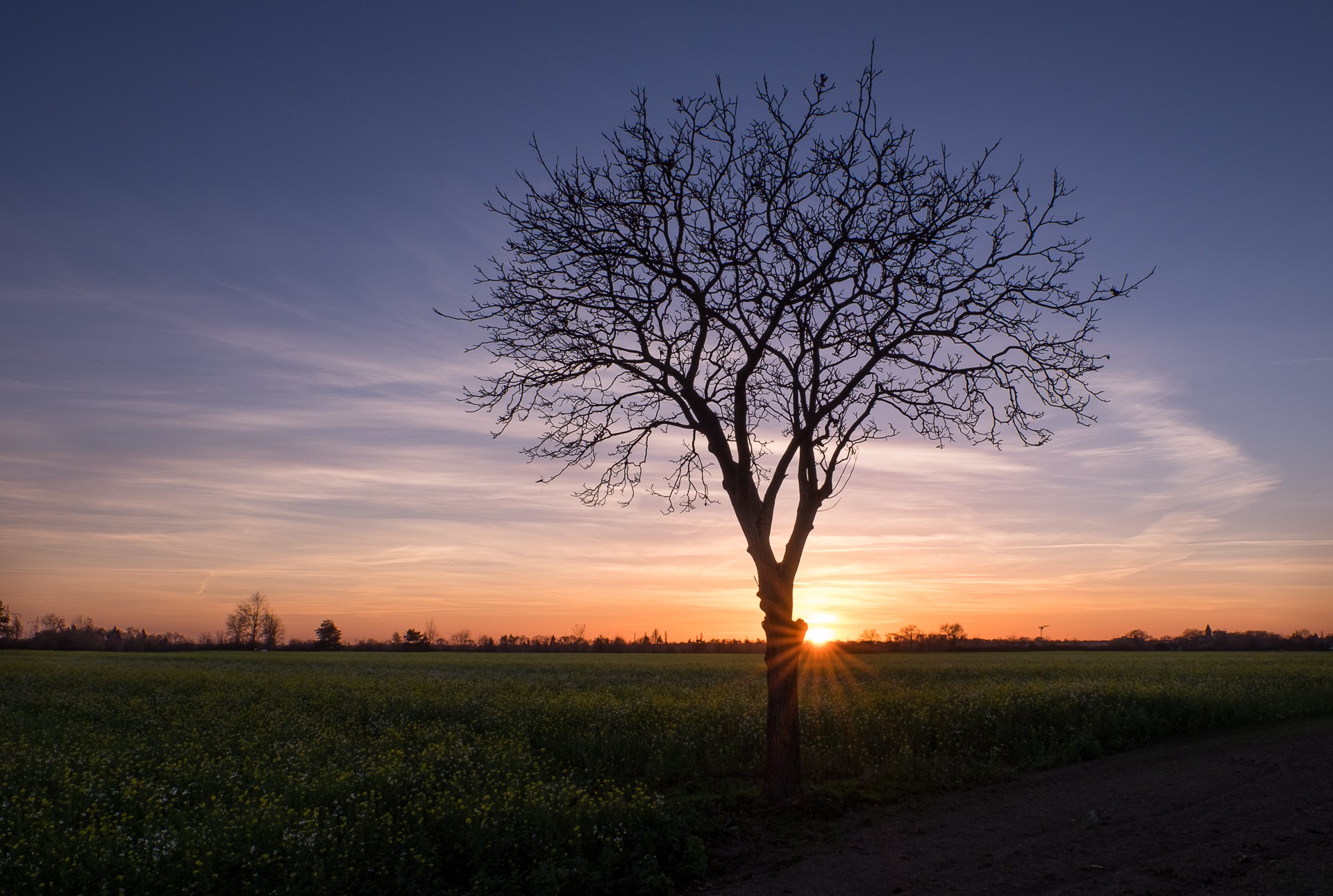 Sunset Durmersheim 1