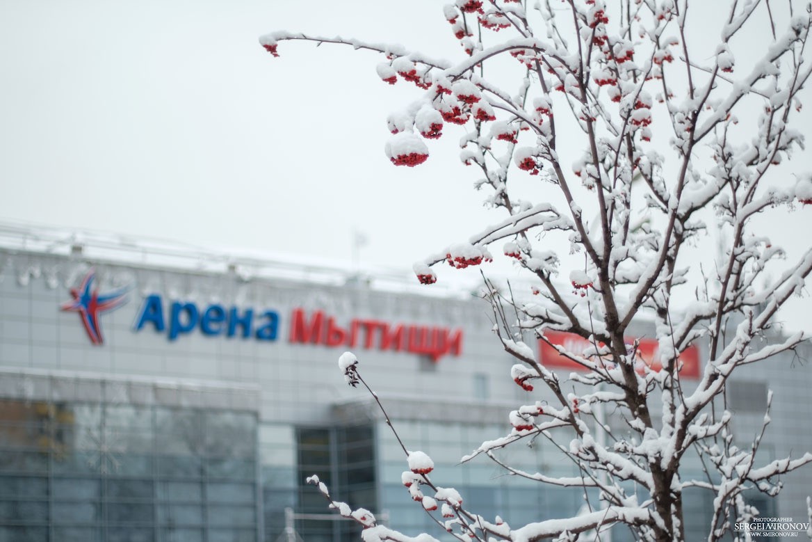 первый снег в городе