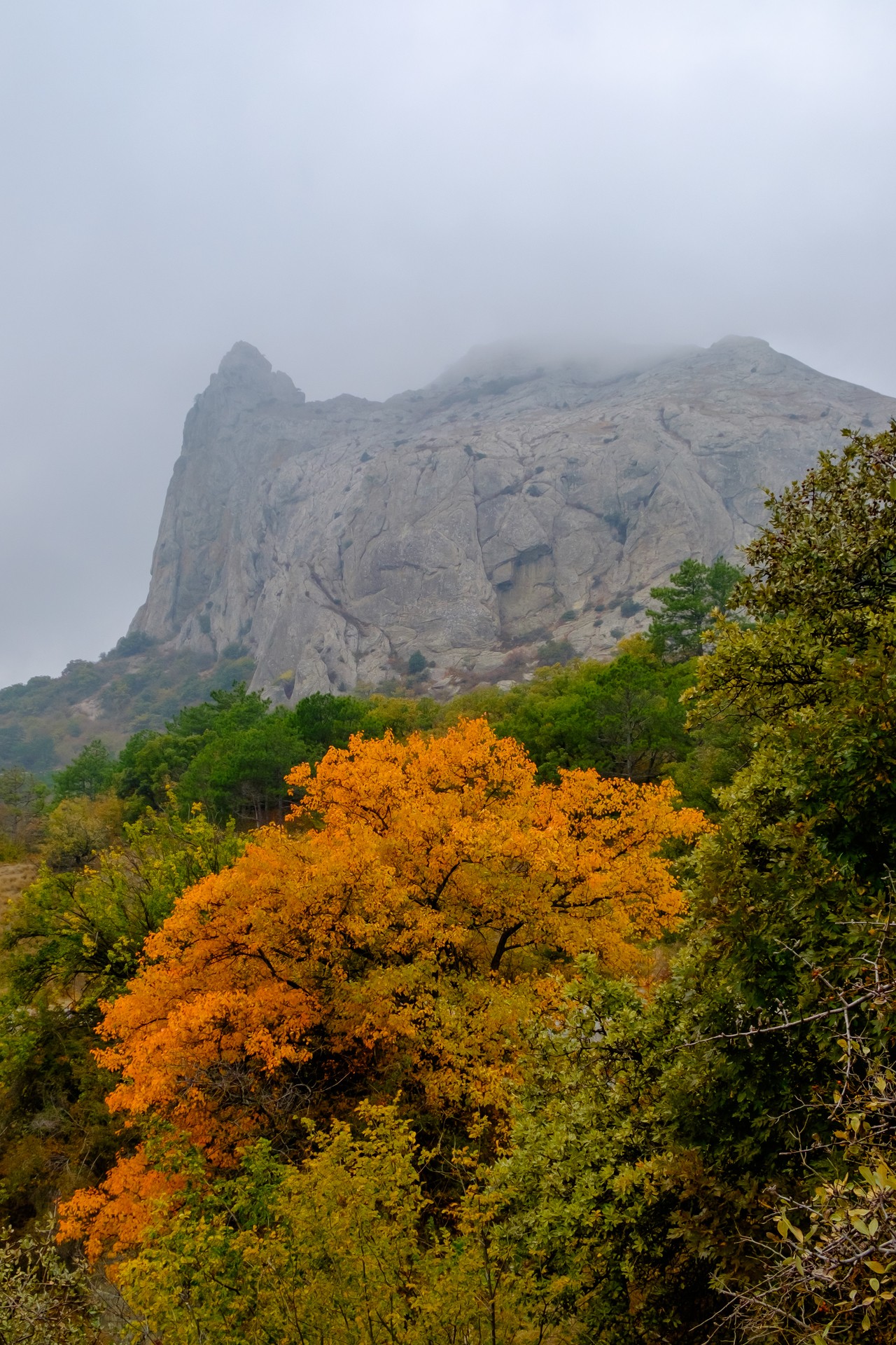 Крым - краски осени -2