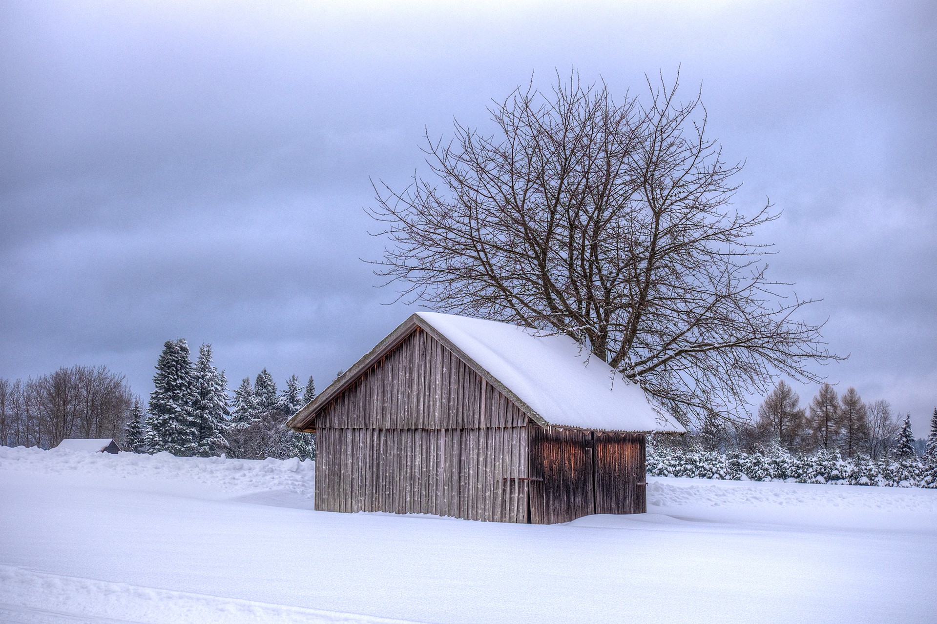 Winter Impression