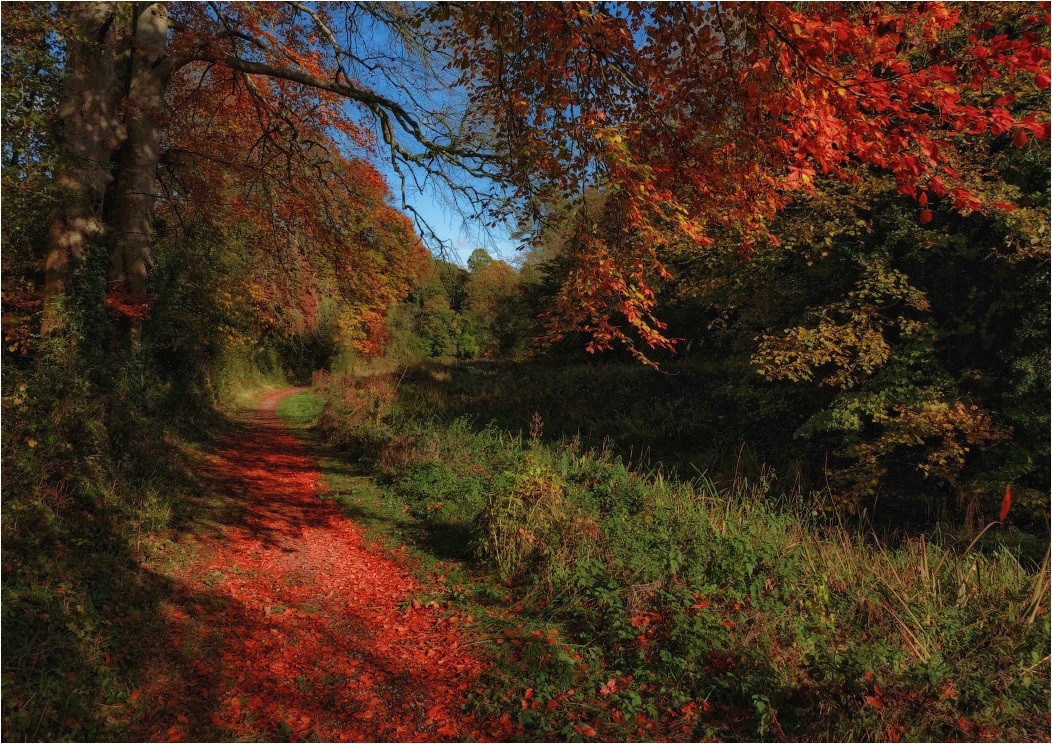 ...autumn trails...