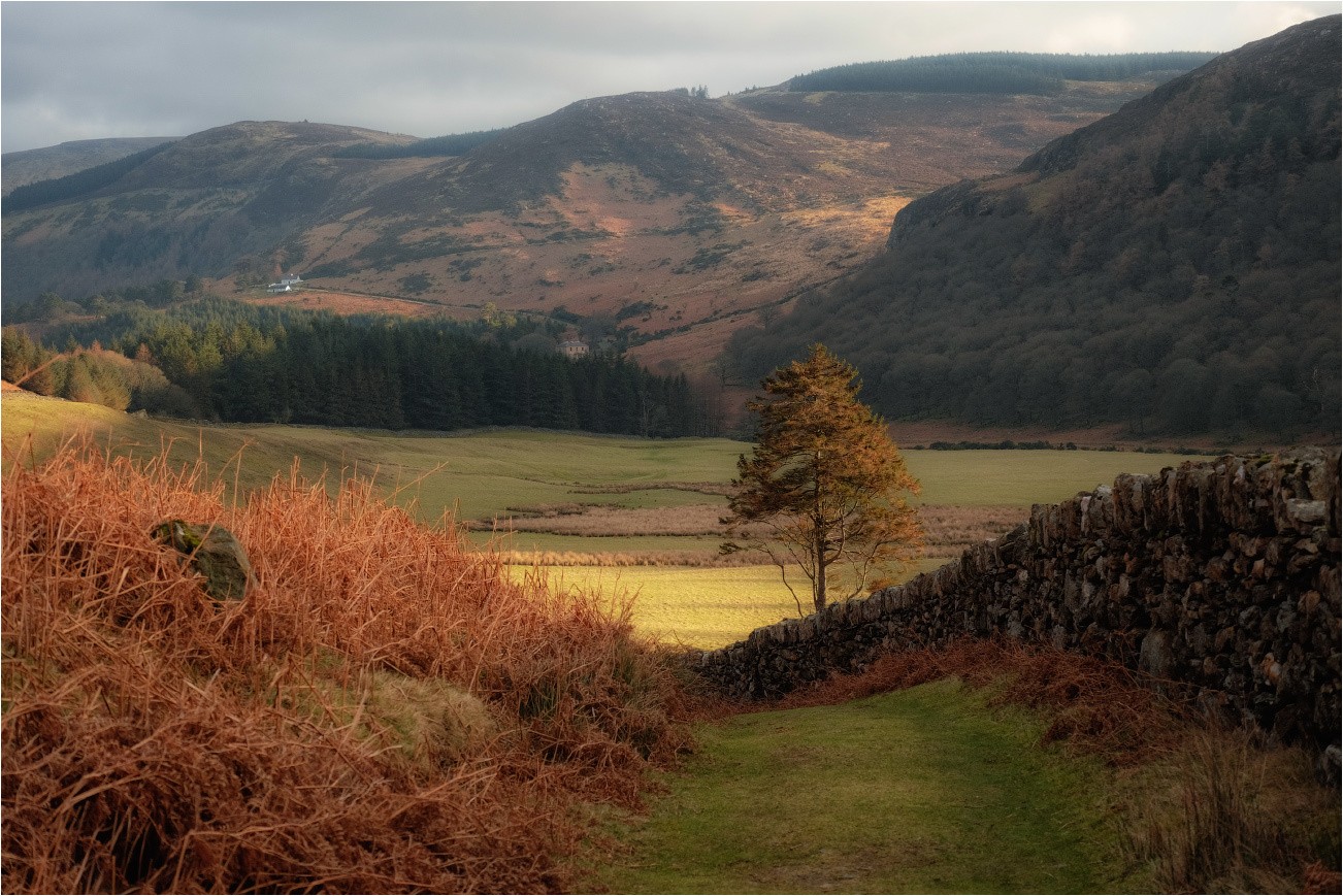 ...Luggala trails...