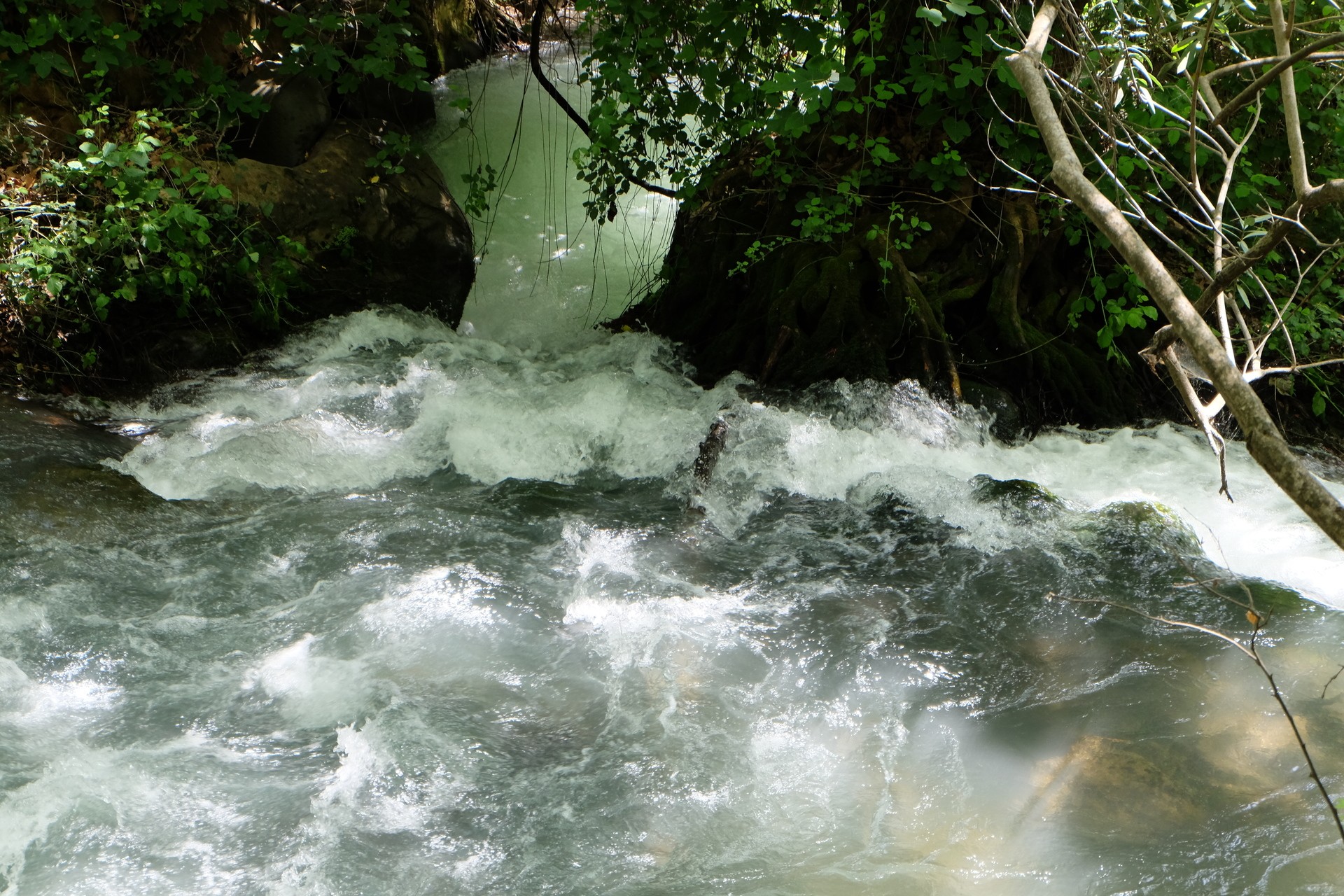 Воды Баниаса