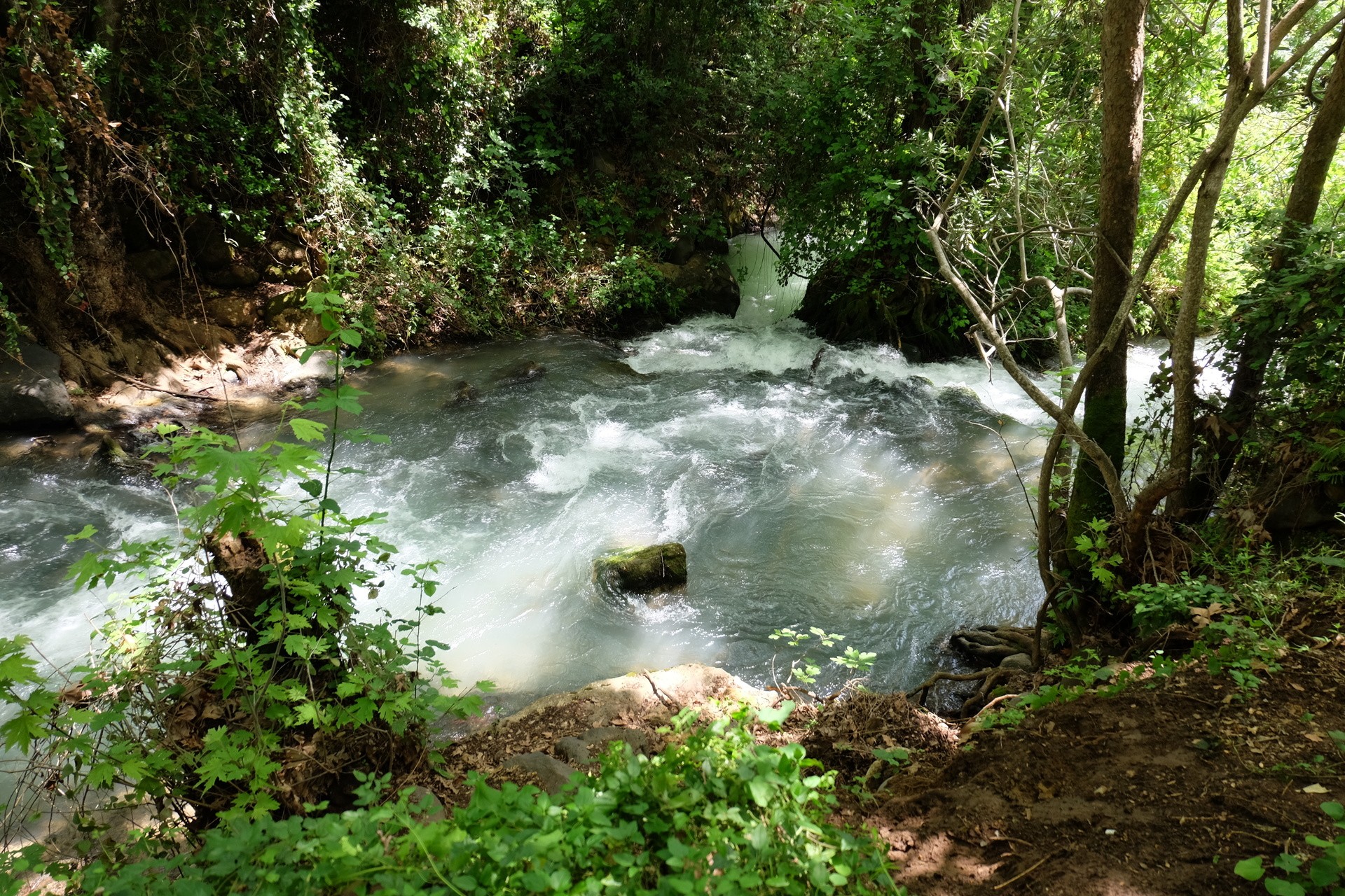 Воды Баниаса