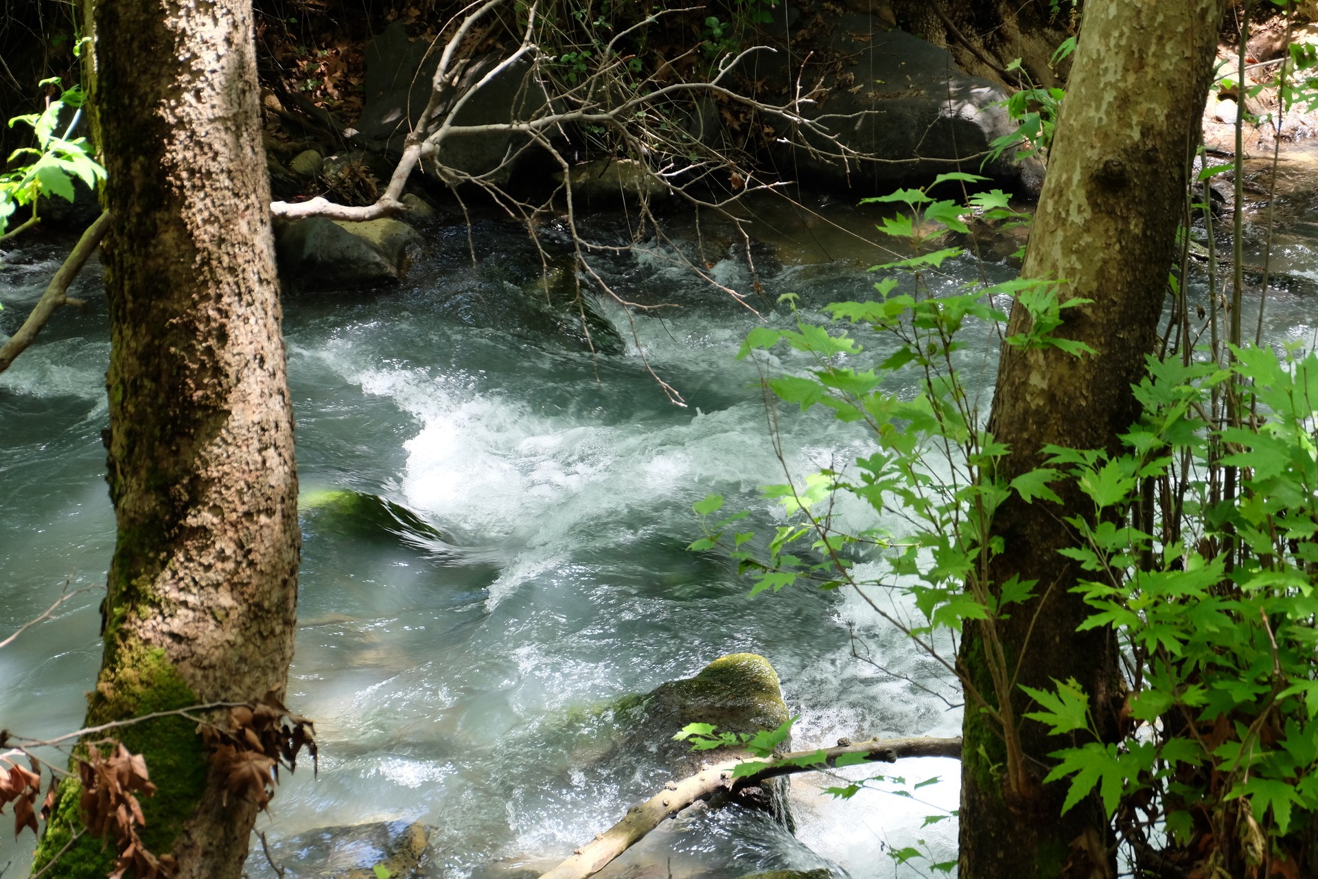 Воды Баниаса