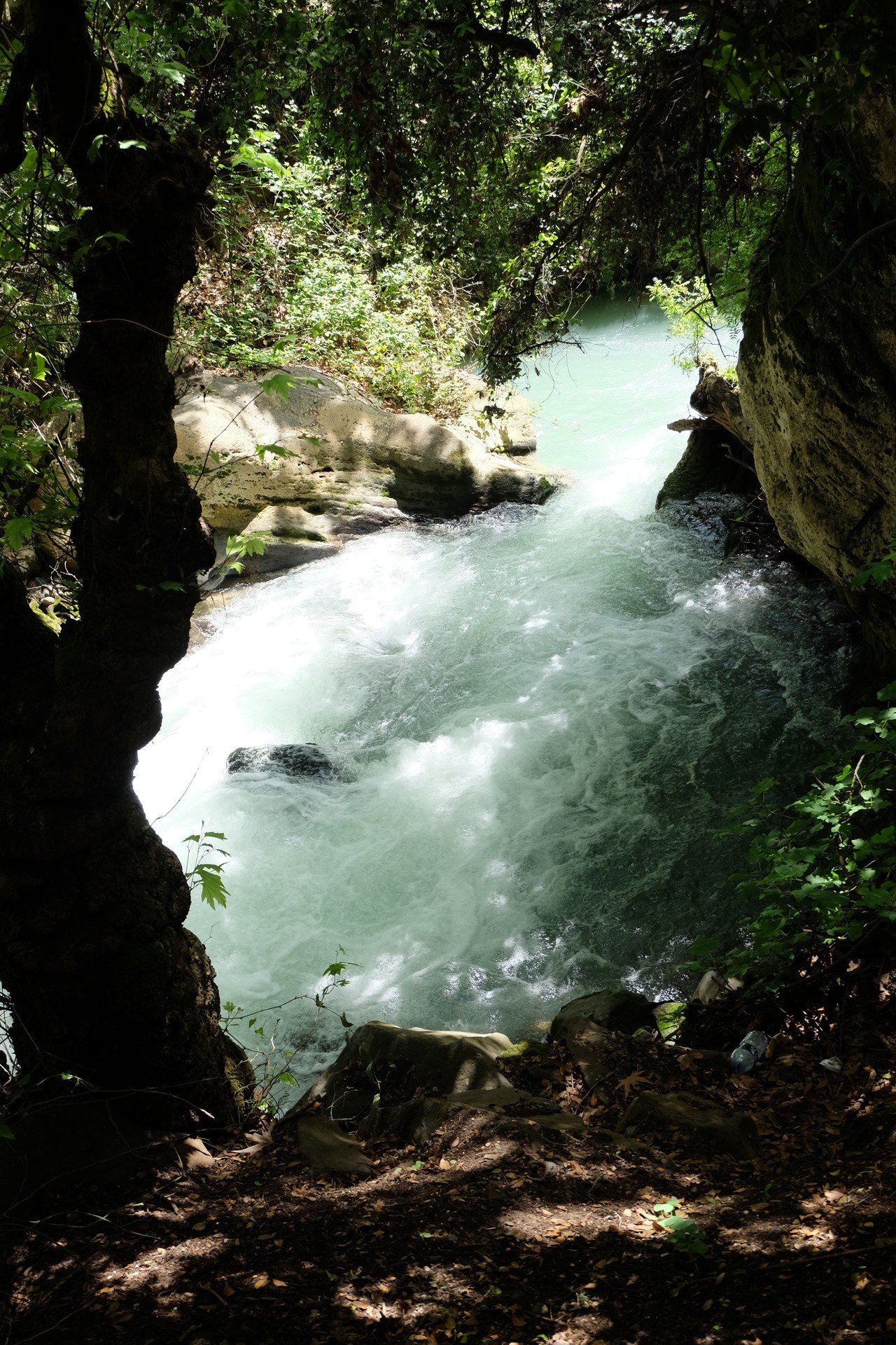 Воды Баниаса