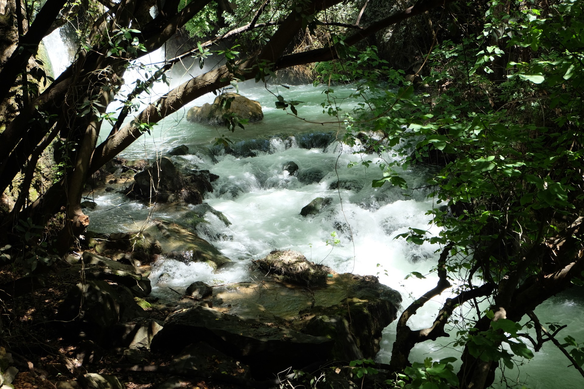 Воды Баниаса