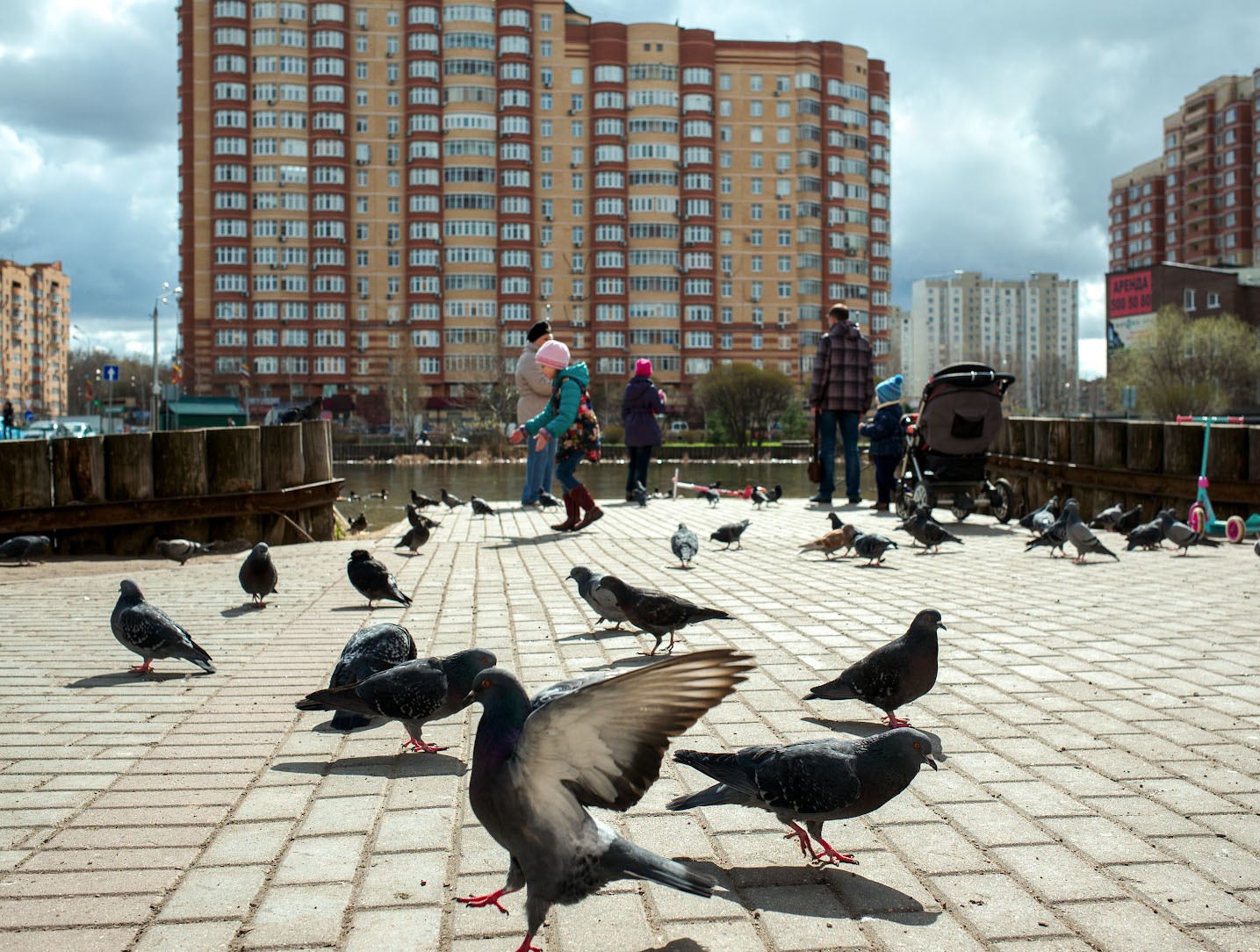 весна в городе