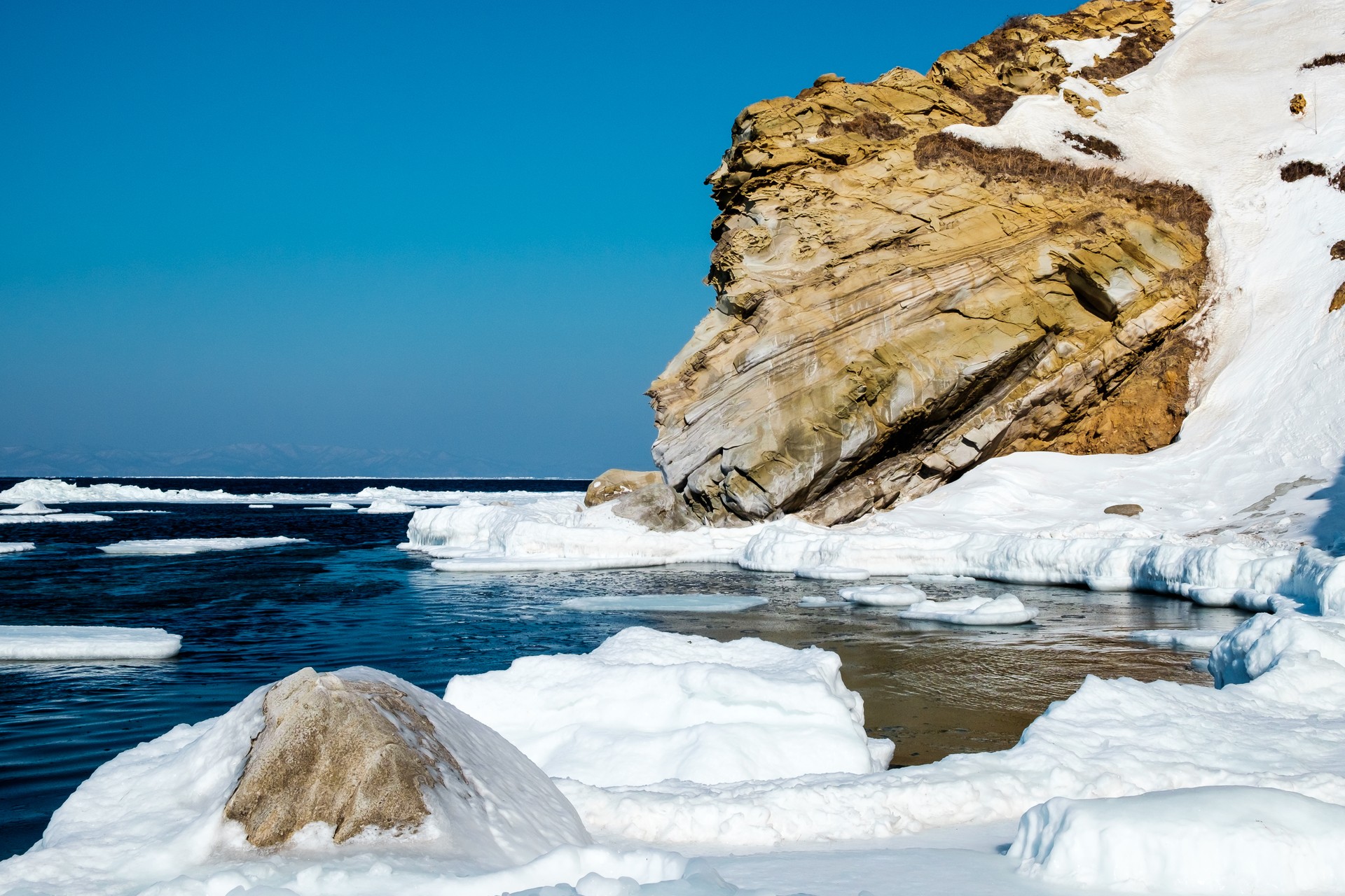 Лев у водопоя