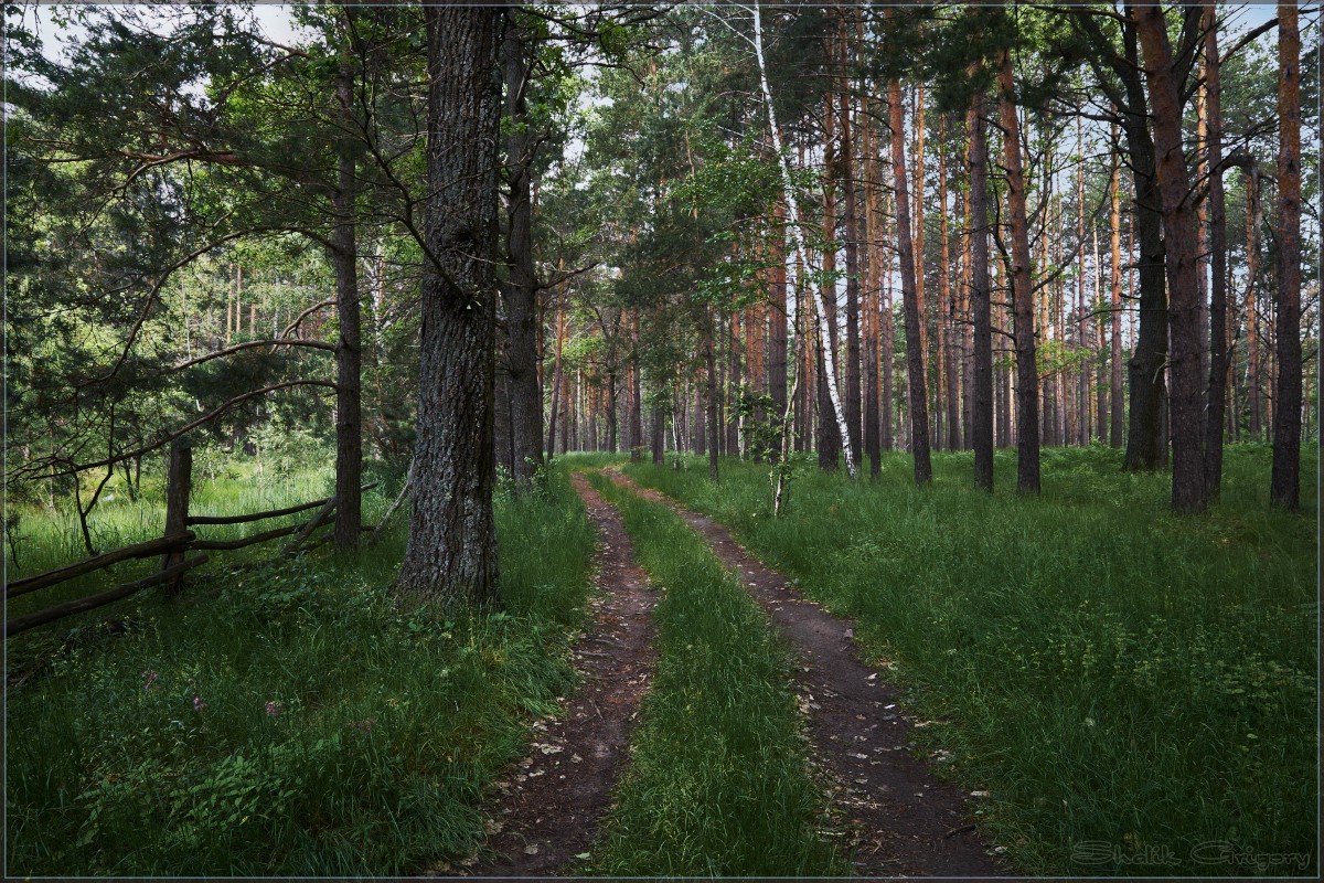 После дождя