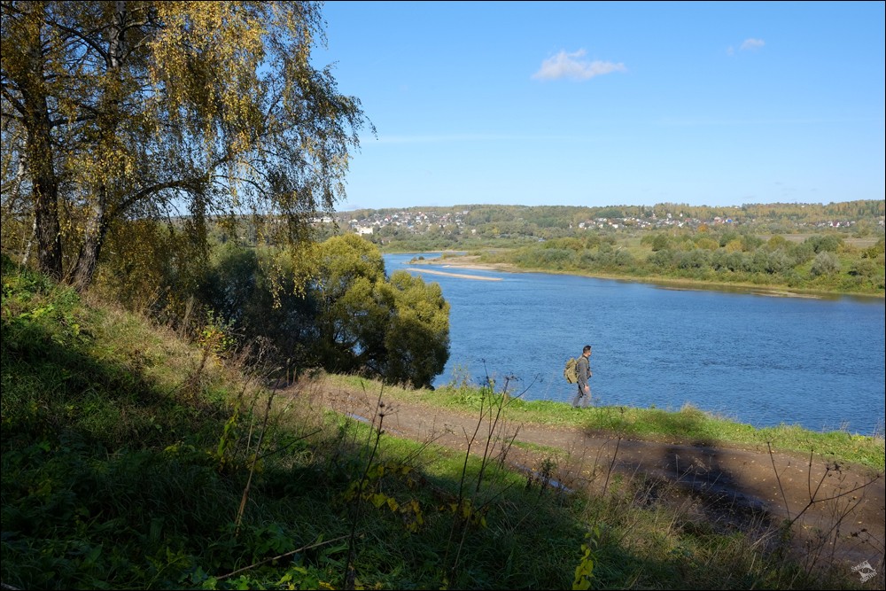 Таруса