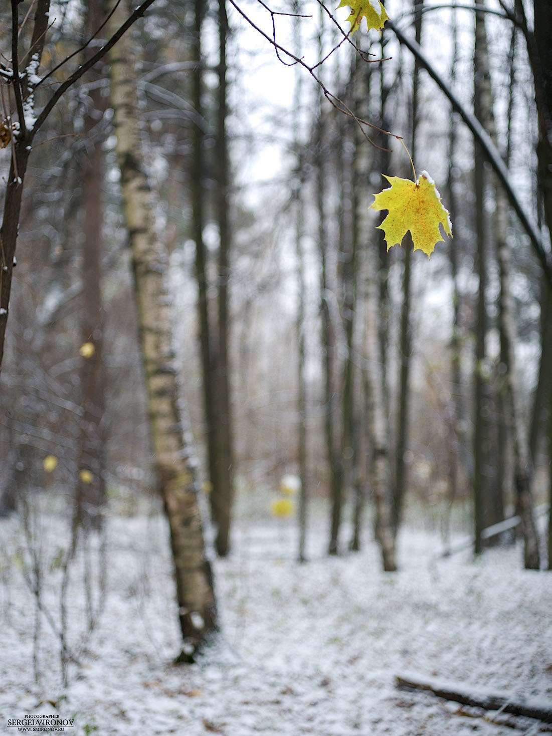 листик