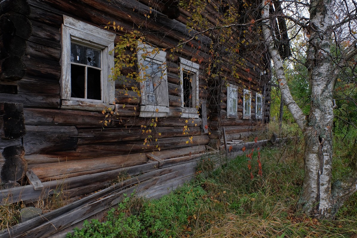 Осень- это не только жёлтые листья.