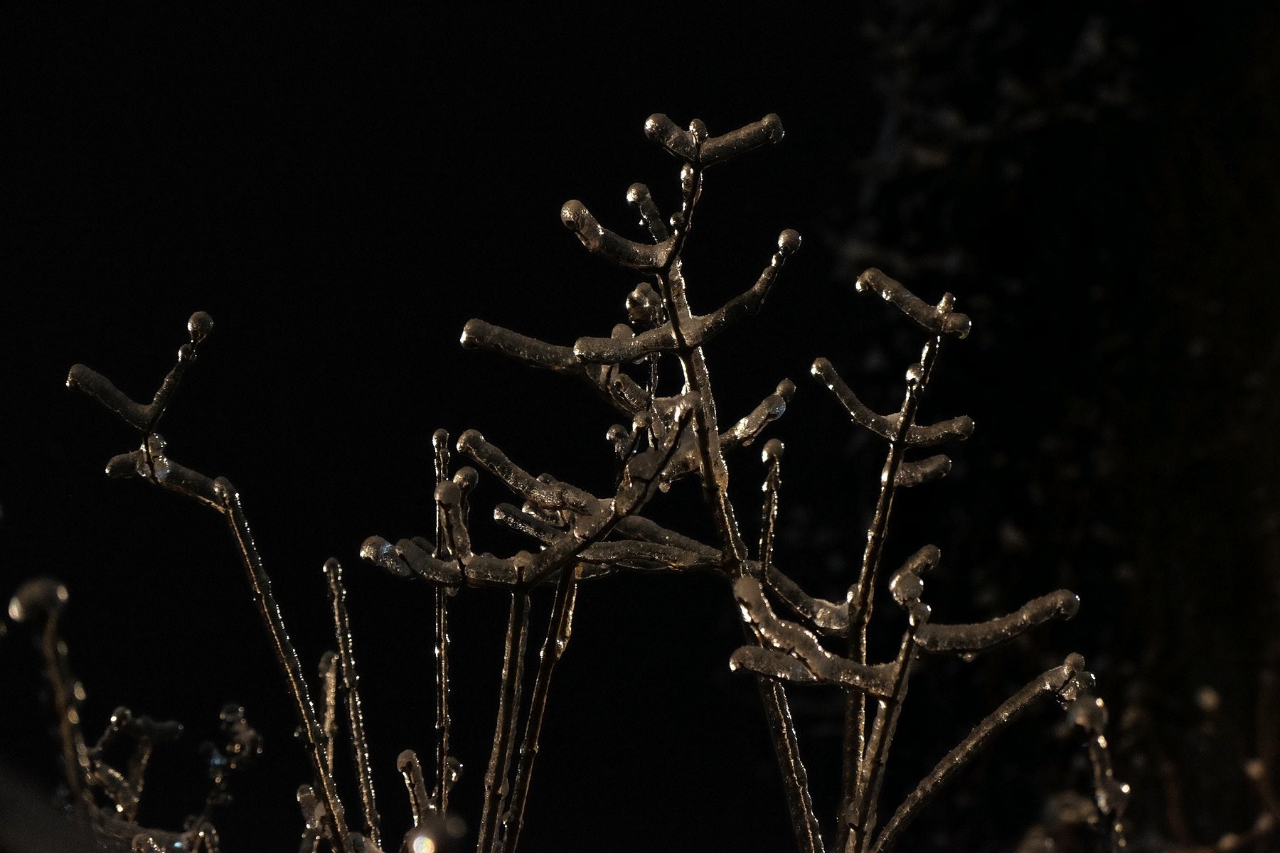 DSCF6320s.JPG