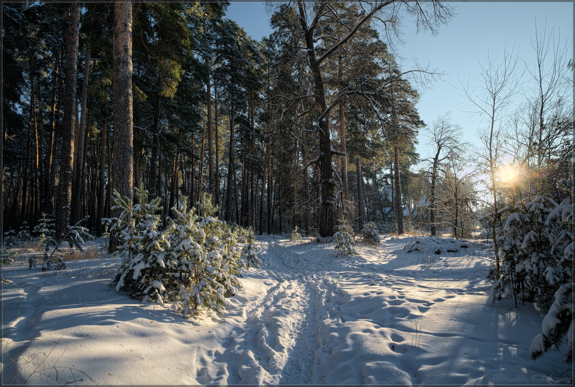 Морозное солнце