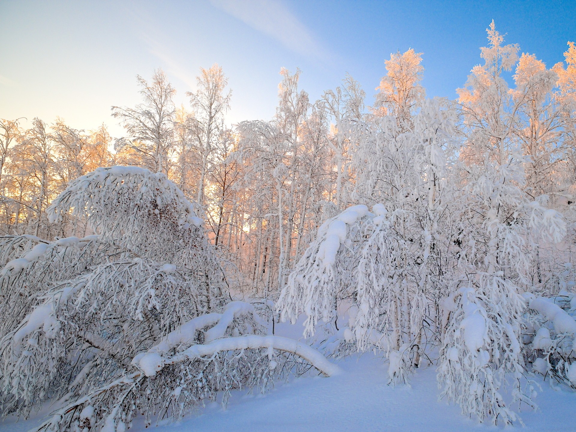 снег и солнце