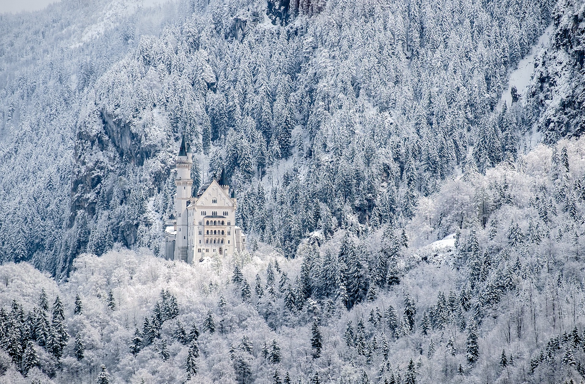 Castle Neuschannstein