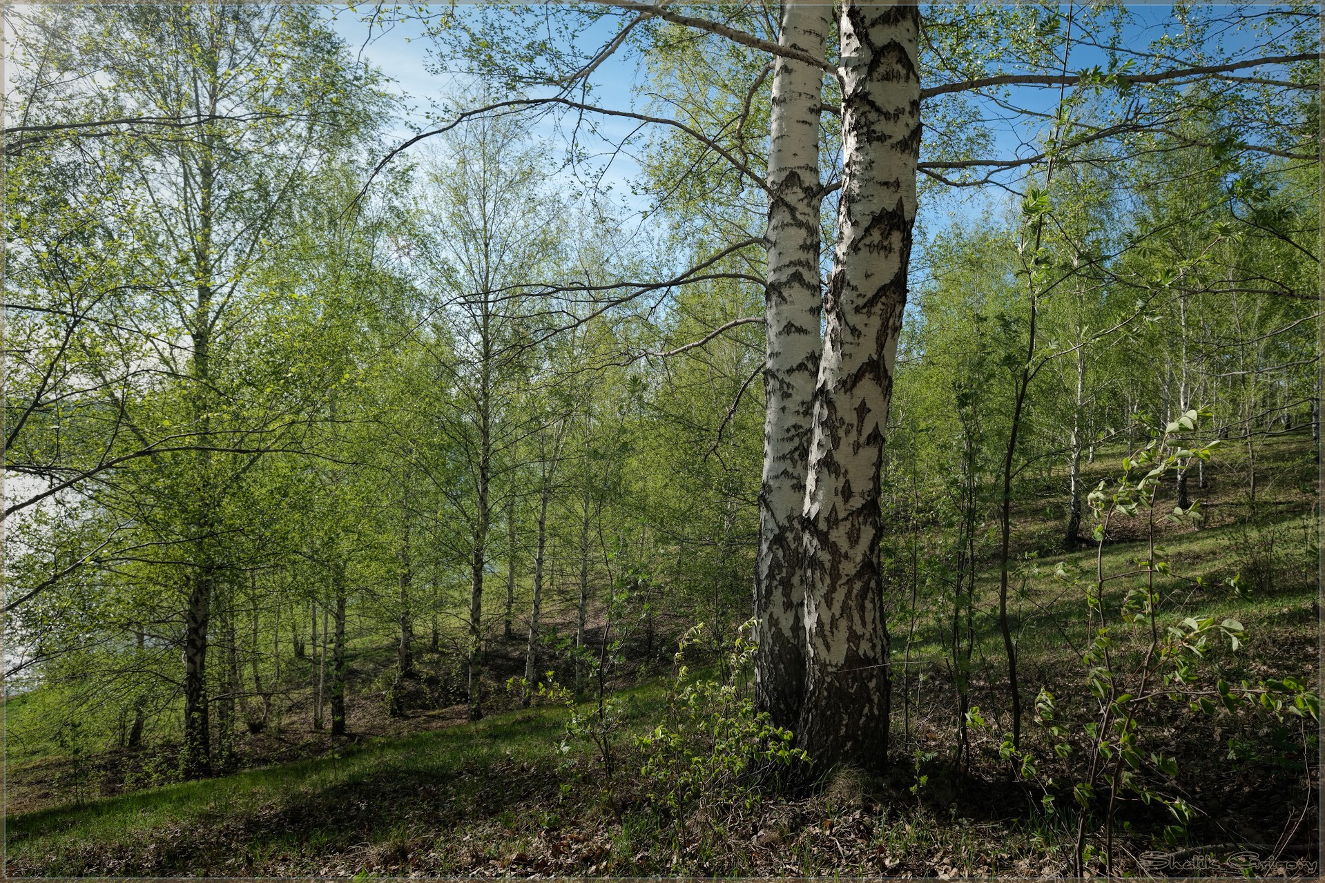 Весение краски