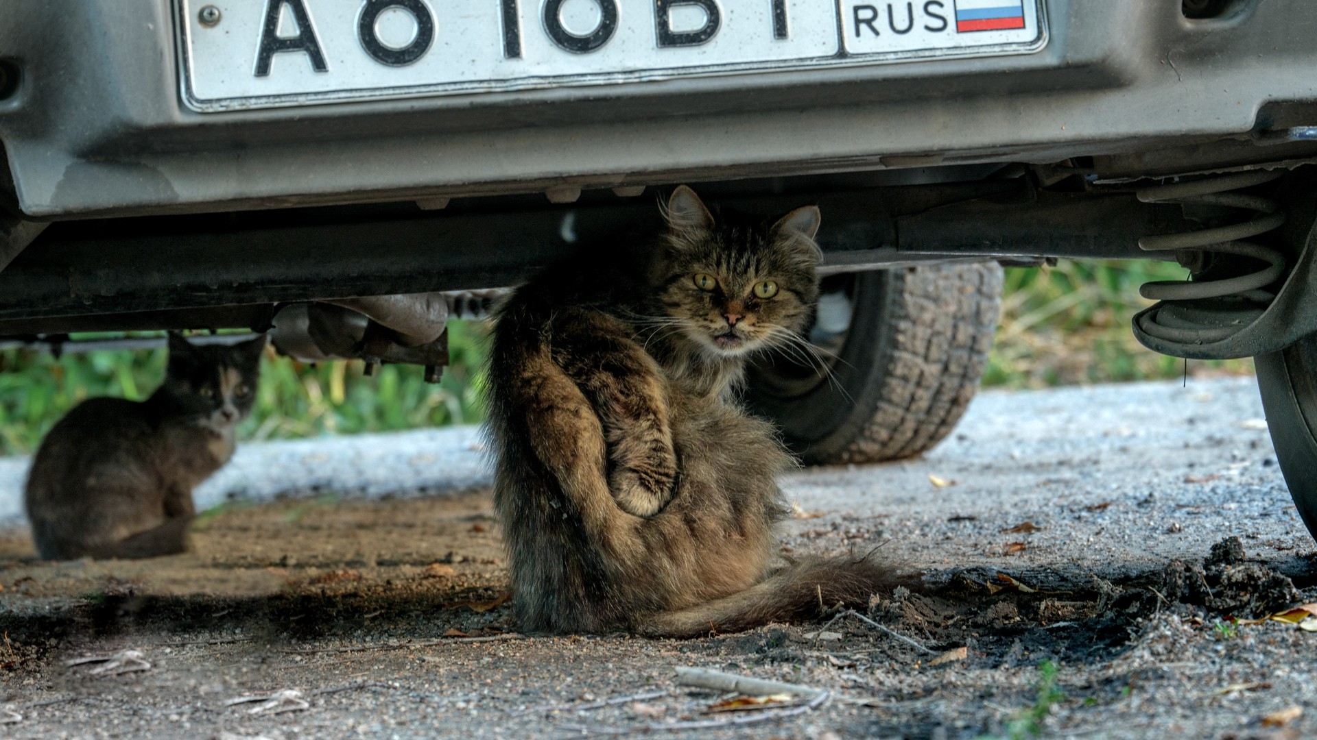 Проваливай. Занято!