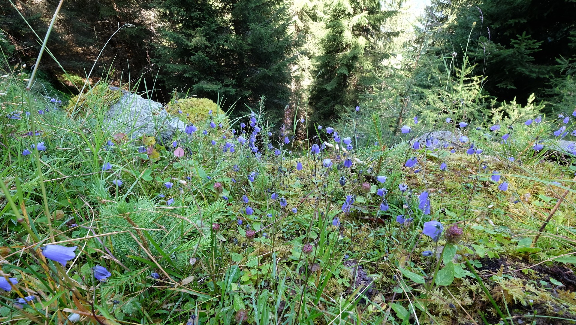 Elferliften im Stubaital